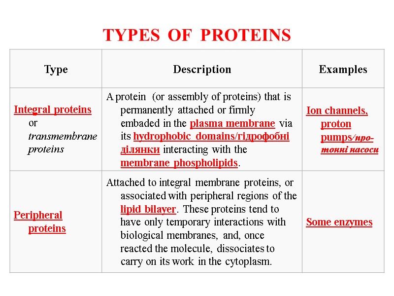 TYPES  OF  PROTEINS